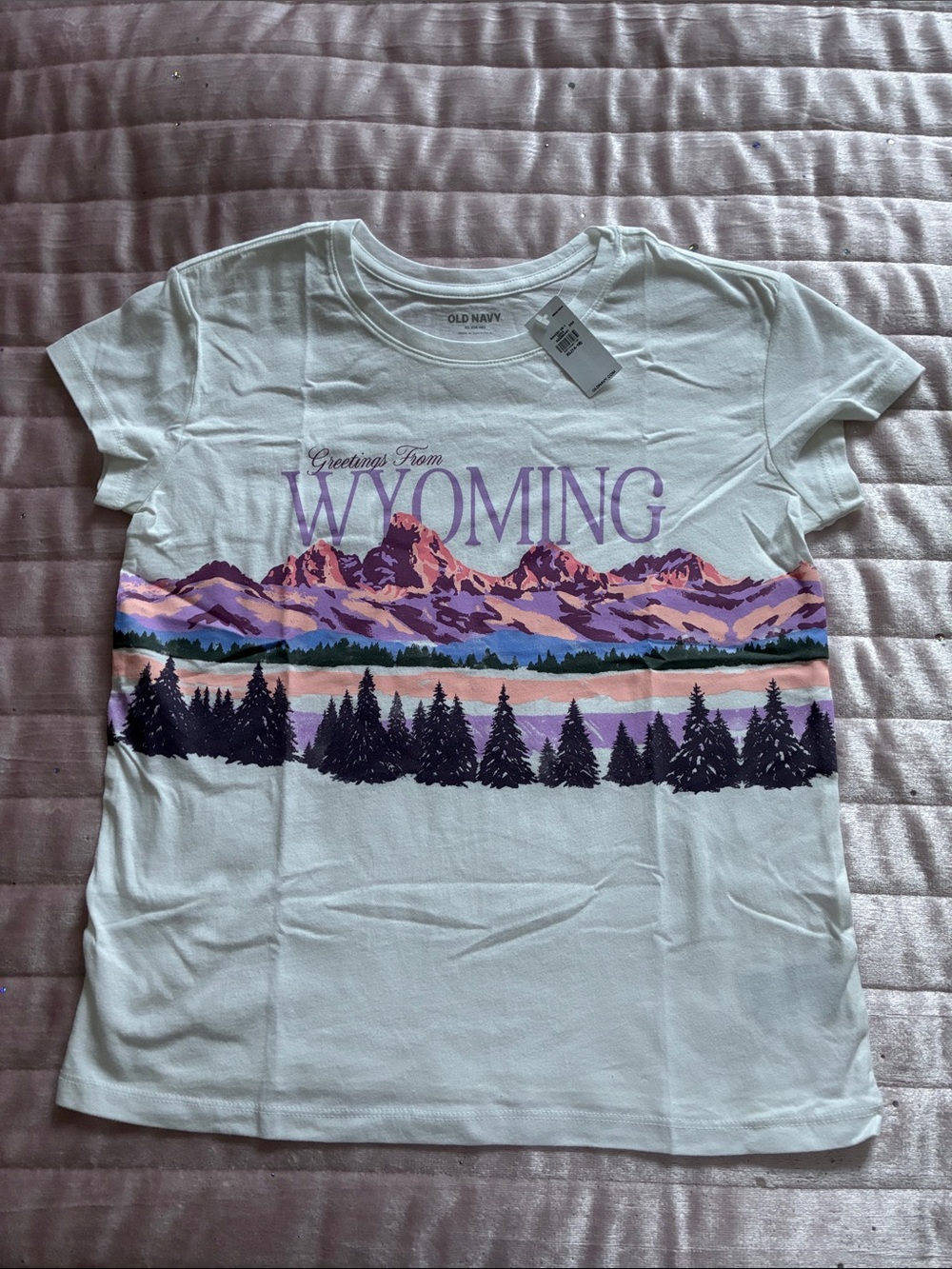 NWT Old Navy “Greetings From Wyoming”  Graphic Tee